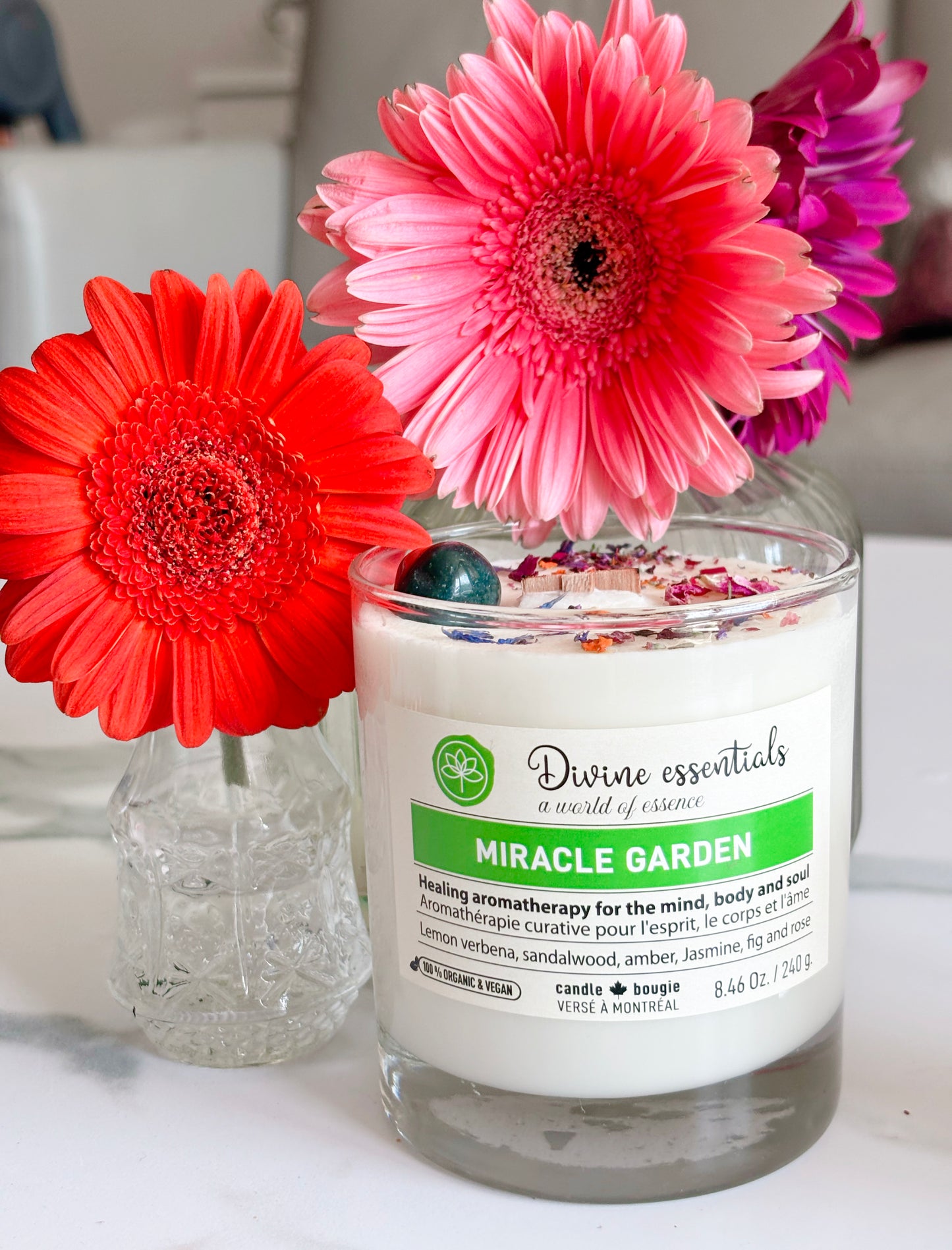 MIRACLE GARDEN