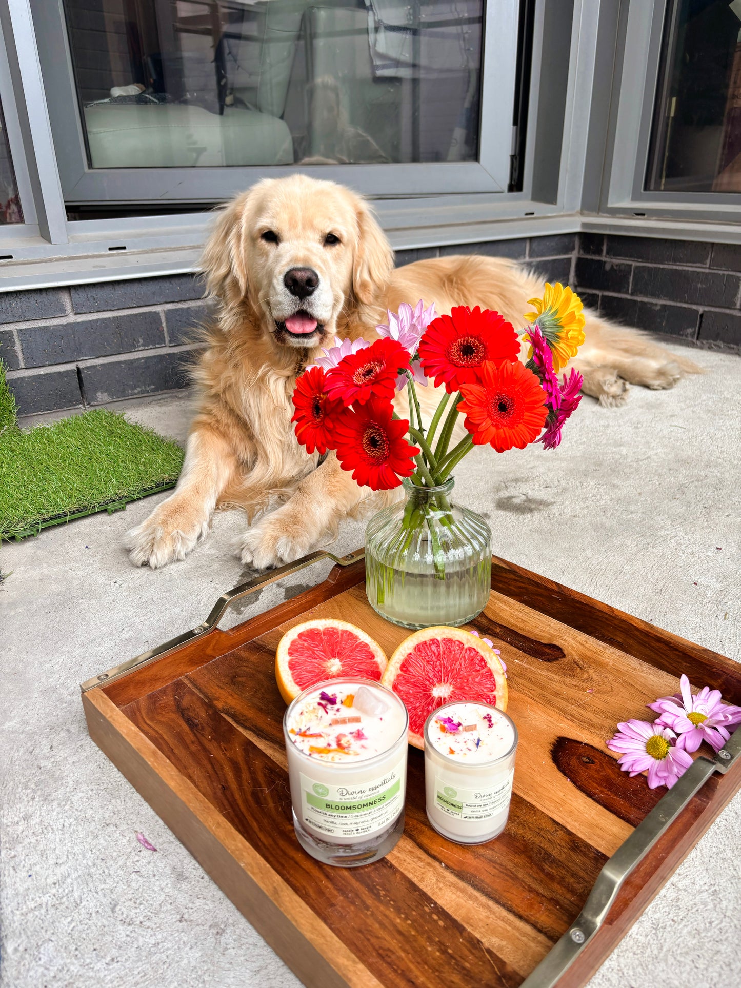 BLOOMSOMNESS