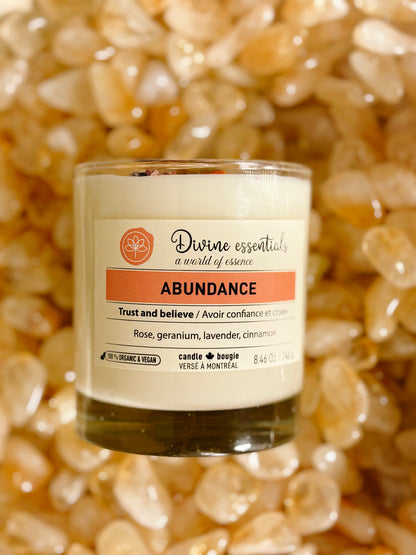 ABUNDANCE